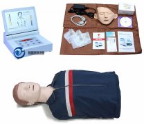 半身心肺復(fù)蘇模型